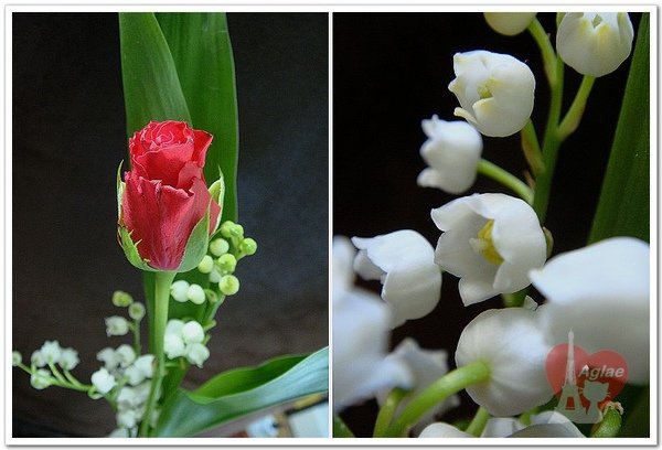 muguet 2.jpg