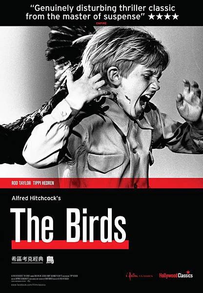 the birds