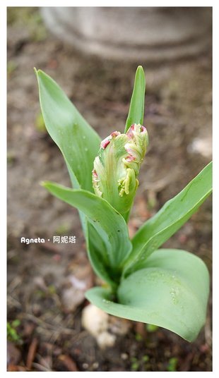 P1150757_resize
