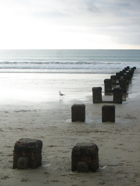 Apollo Bay 清晨