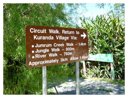 下車就先去走一圈Jungle Walk 大概一小時