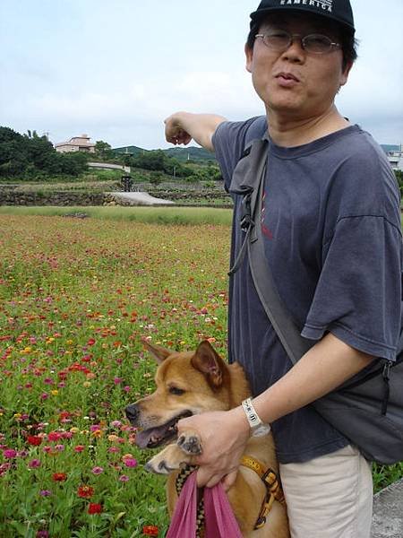 阿助伯的助啊