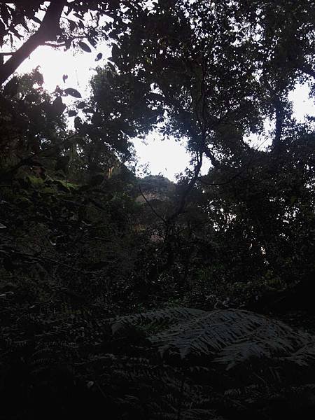 IMG_20180217_172721-1000.jpg