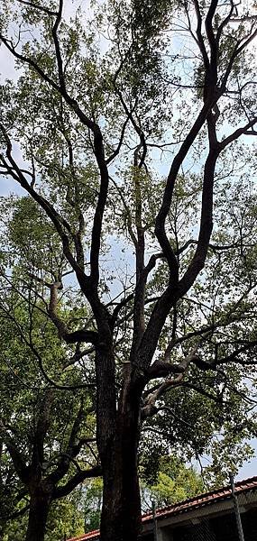 20210513_141032.jpg