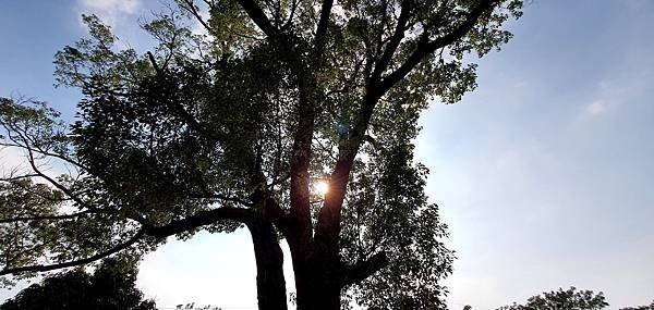 20210513_154639.jpg