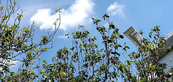 20210513_095258.jpg