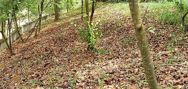 20210513_124154.jpg
