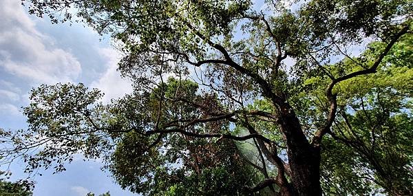 20210513_134211.jpg