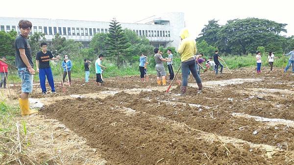 20150923 畫線、開畦、作溝