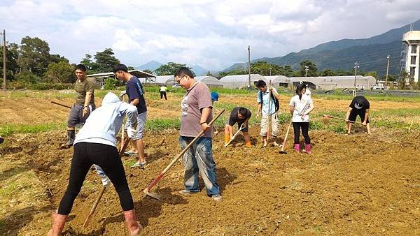 20150929小米田開溝做畦