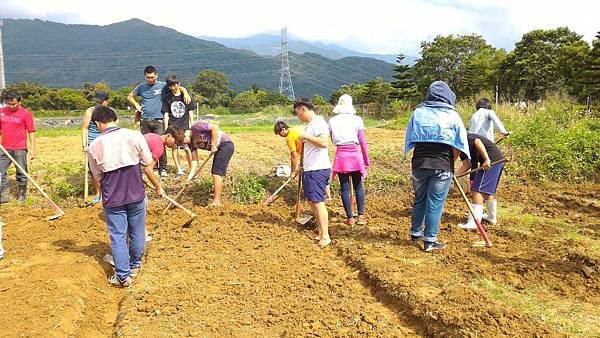 20150929小米田開溝做畦