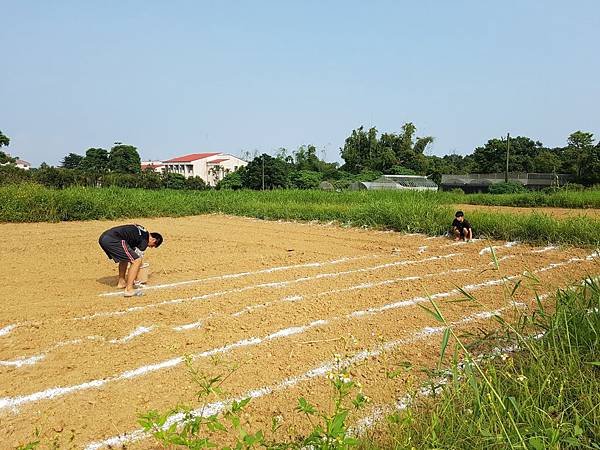 0917 田間整地