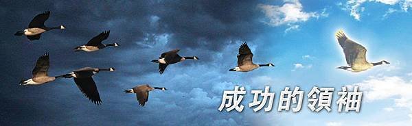 成功的領袖.jpg