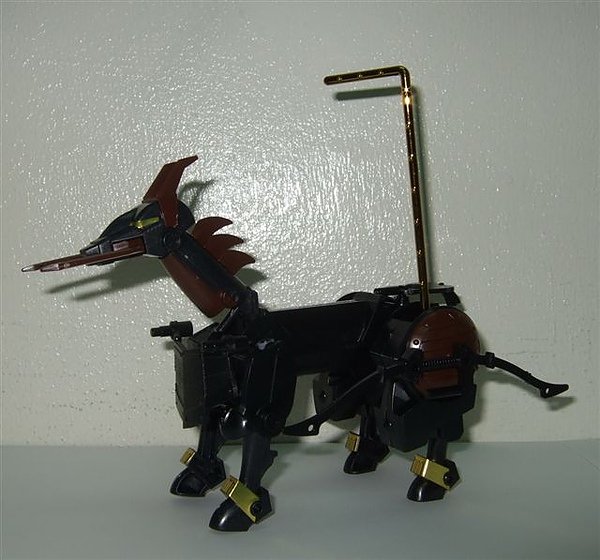 DSCF6635.jpg