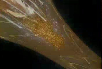 (25.RM)[00.27.37.922].jpg