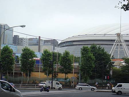 DSC01028 (2)