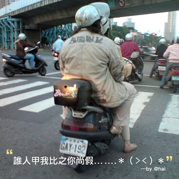 誰尚假