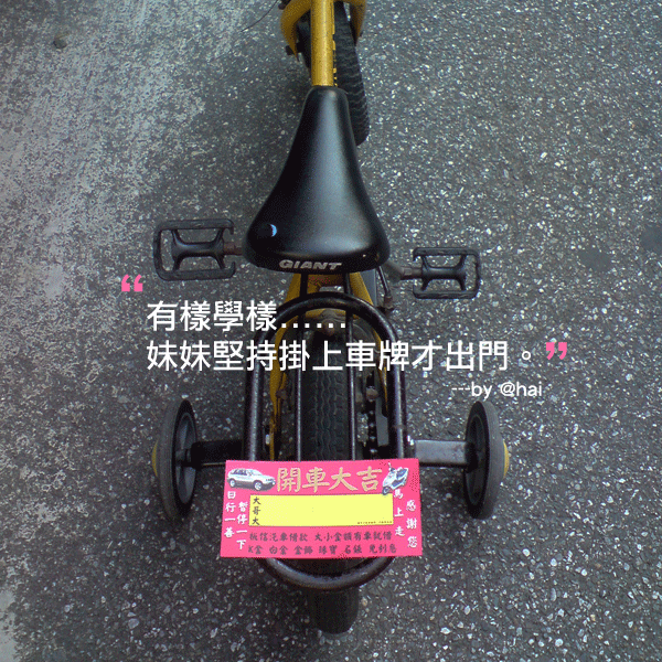 有樣學樣
