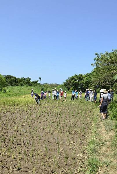 小玩伴 x 淡水幸福農莊-033.JPG