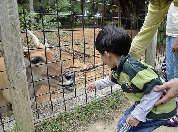 新竹小旅行-動物園+市集-003.JPG