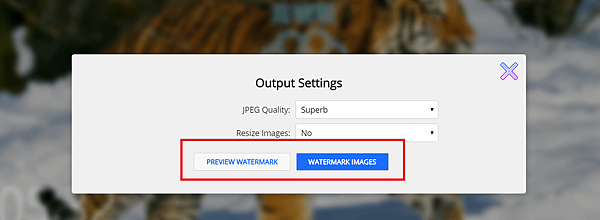 watermarkly4.png