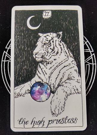 2女祭司-Wild Unknown Tarot.jpg