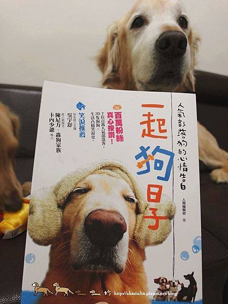 SAM_3518_副本