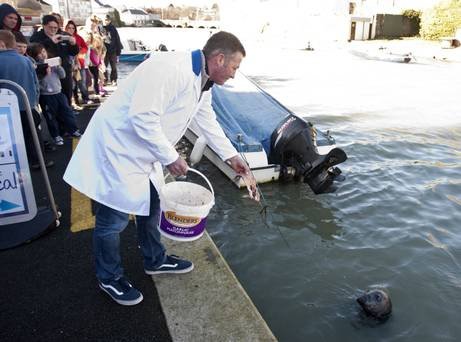 sammy the seal 1.JPG