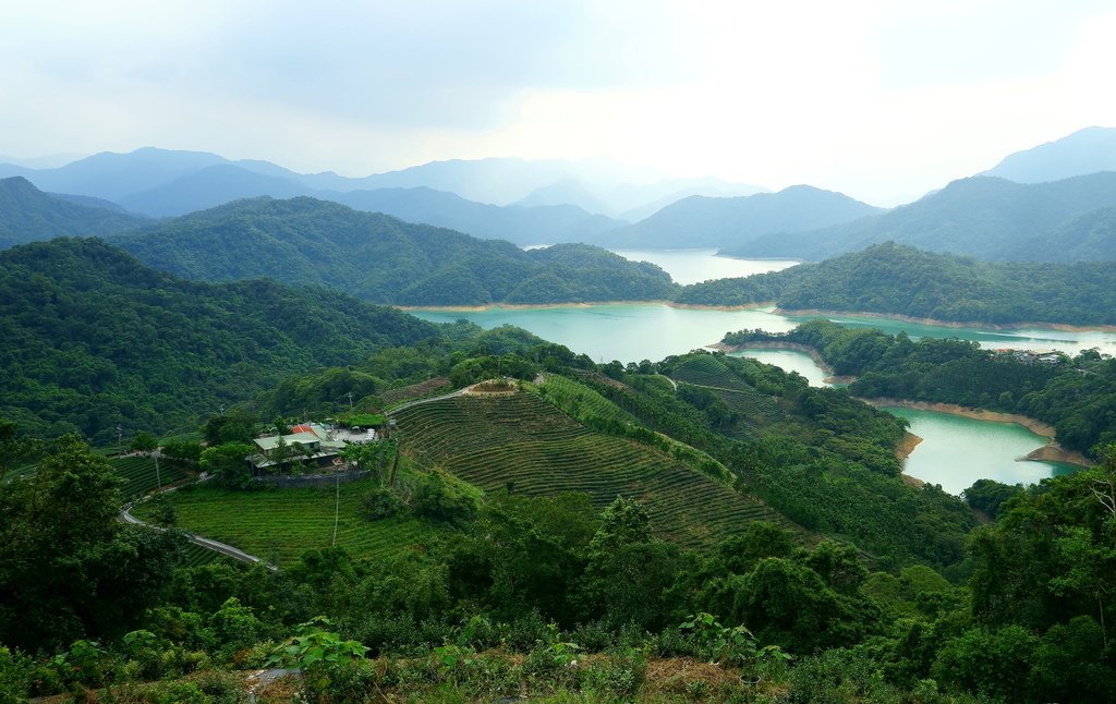 DPP_00017.JPG