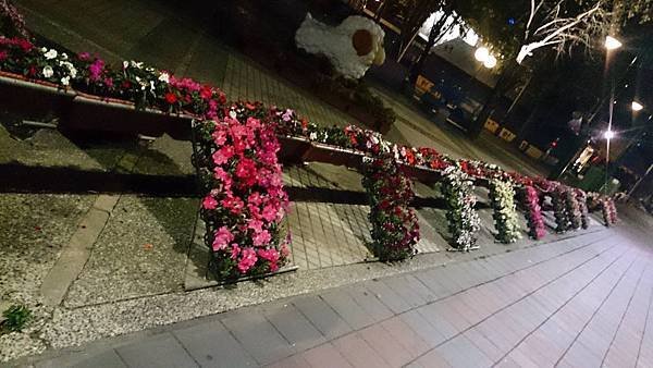 87.jpg