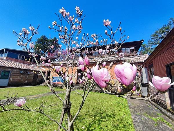 來去吃 - 淡水石牆仔內 隱身在百年古厝的農家料理