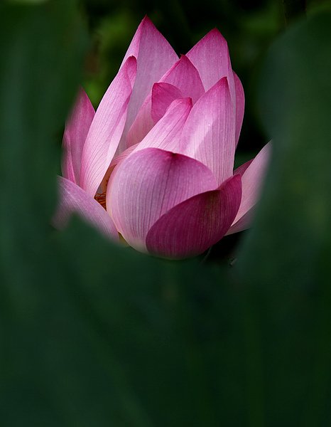 IMG_0700.JPG