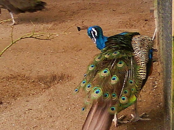 DSC02548.JPG