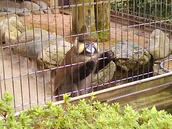DSC02538.JPG