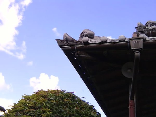 DSC02484.JPG