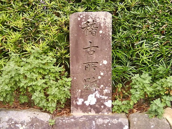 DSC02477.JPG