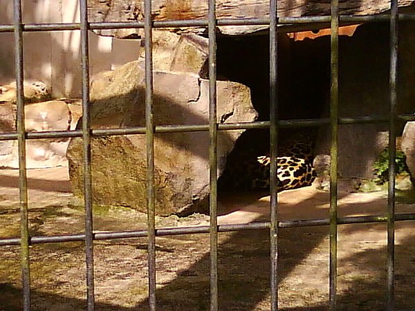 DSC02530.JPG