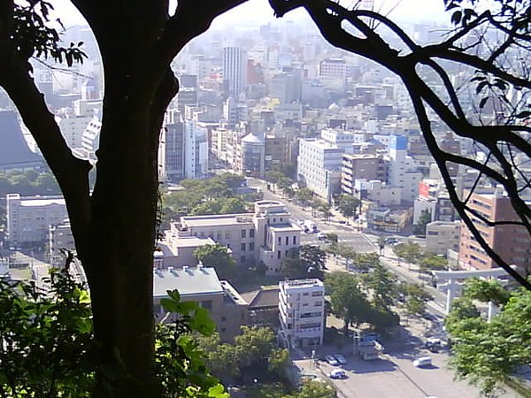 DSC02315.JPG