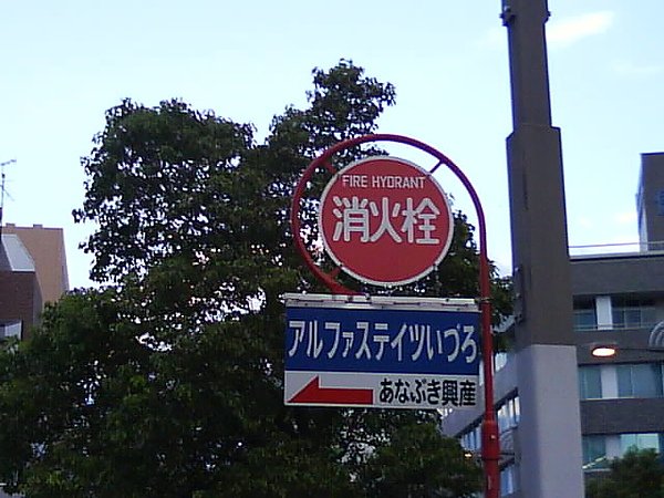 DSC02503.JPG