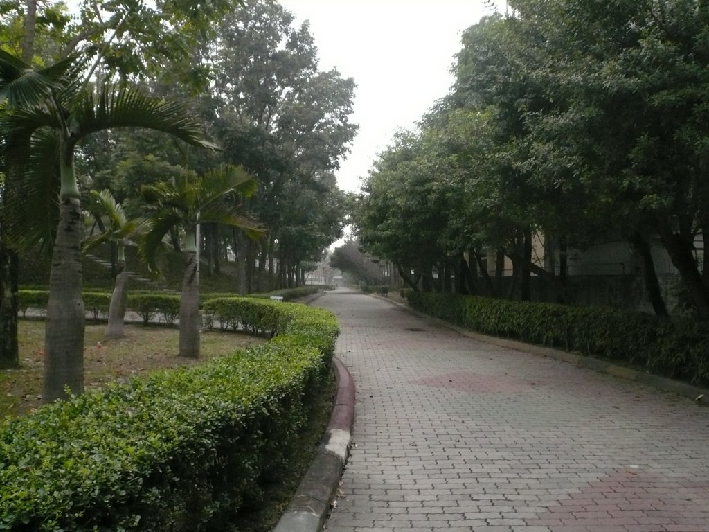 公園