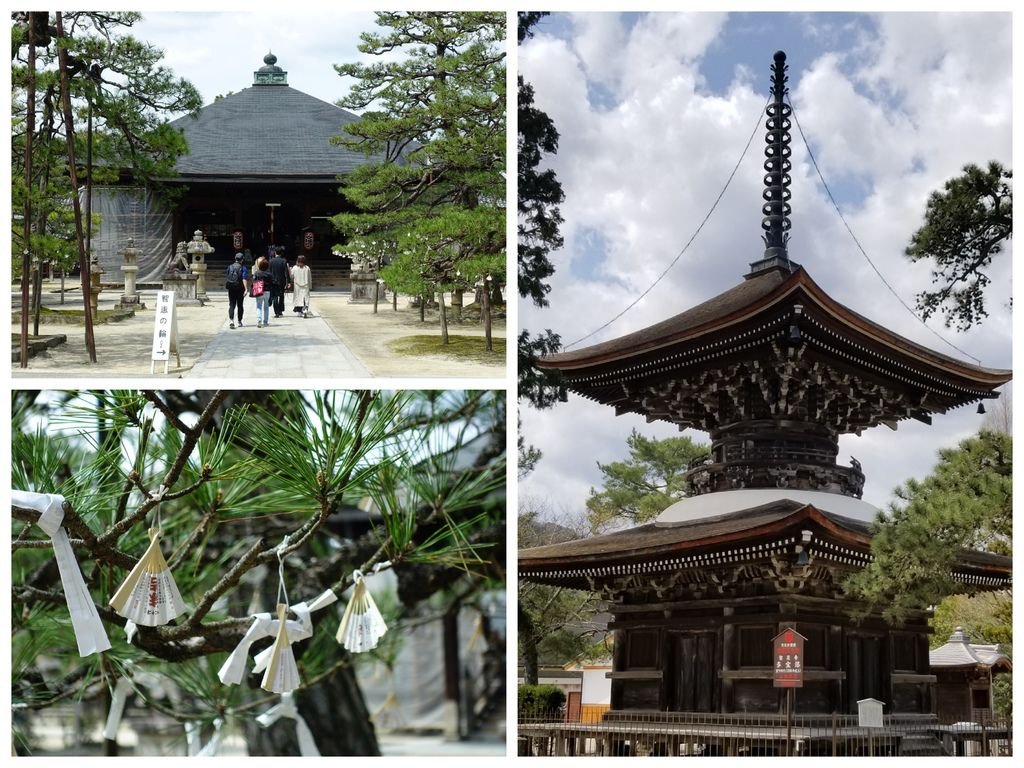 048天橋立.jpg
