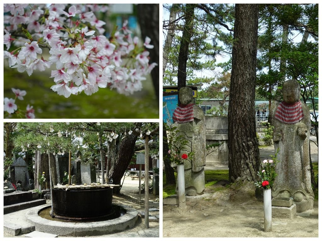 049天橋立.jpg