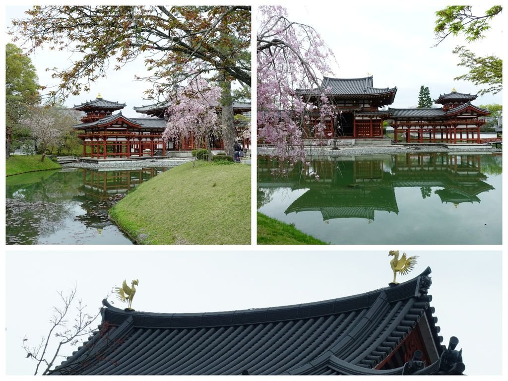 083宇治平等院.jpg