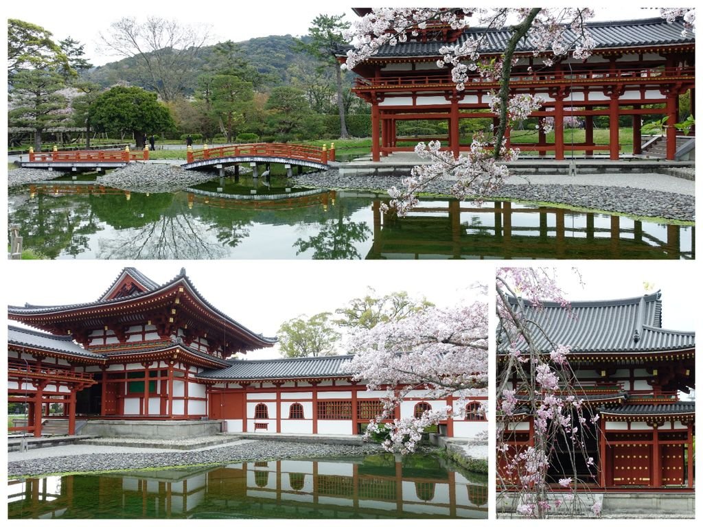 080宇治平等院.jpg