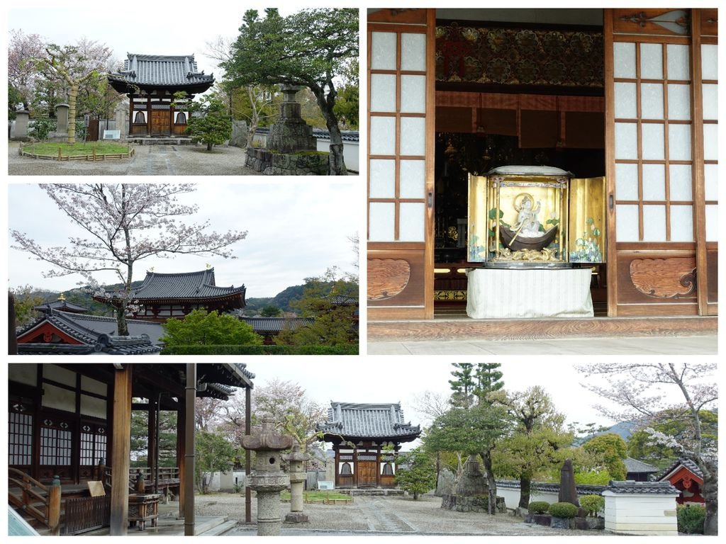 077宇治平等院.jpg