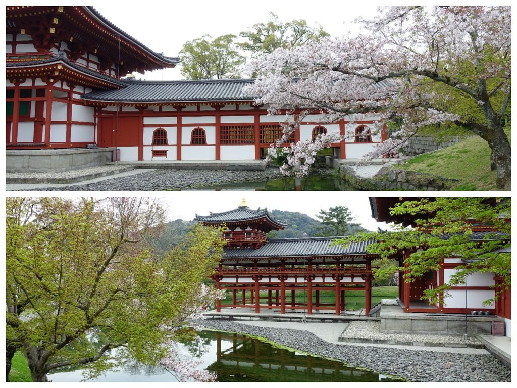 079宇治平等院.jpg