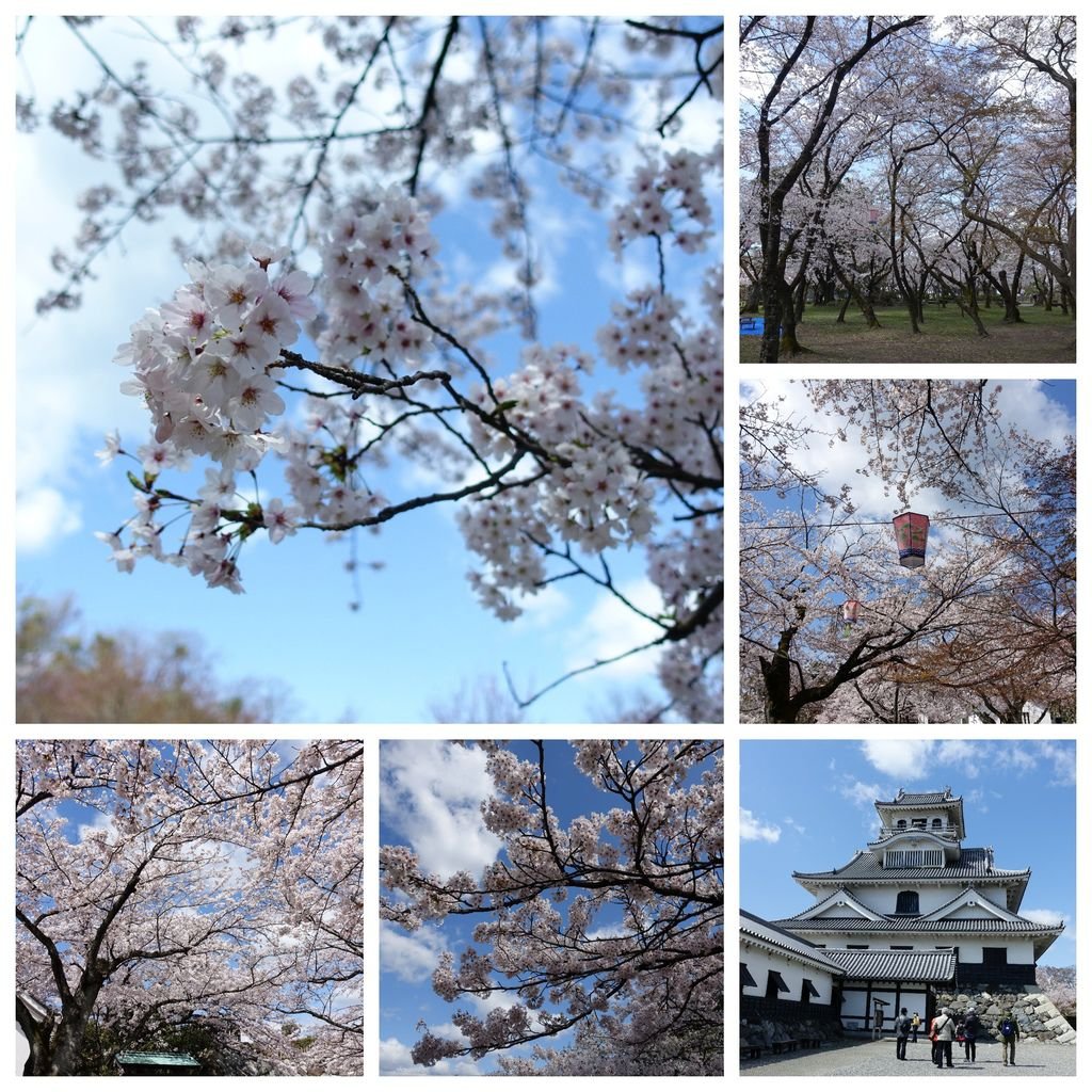 005長濱城.jpg