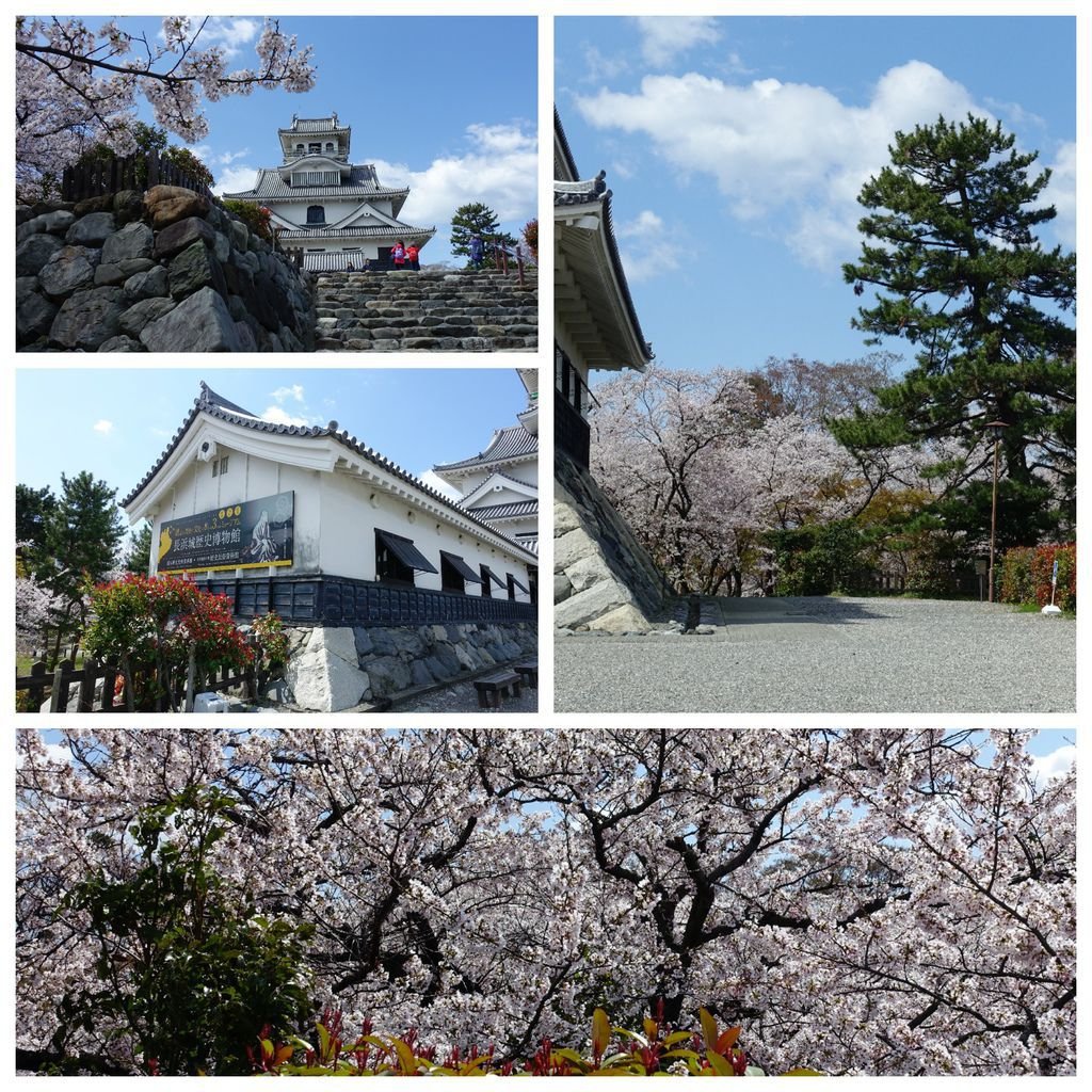 008長濱城.jpg