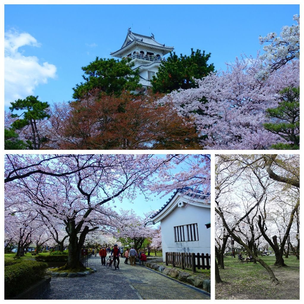 009長濱城.jpg