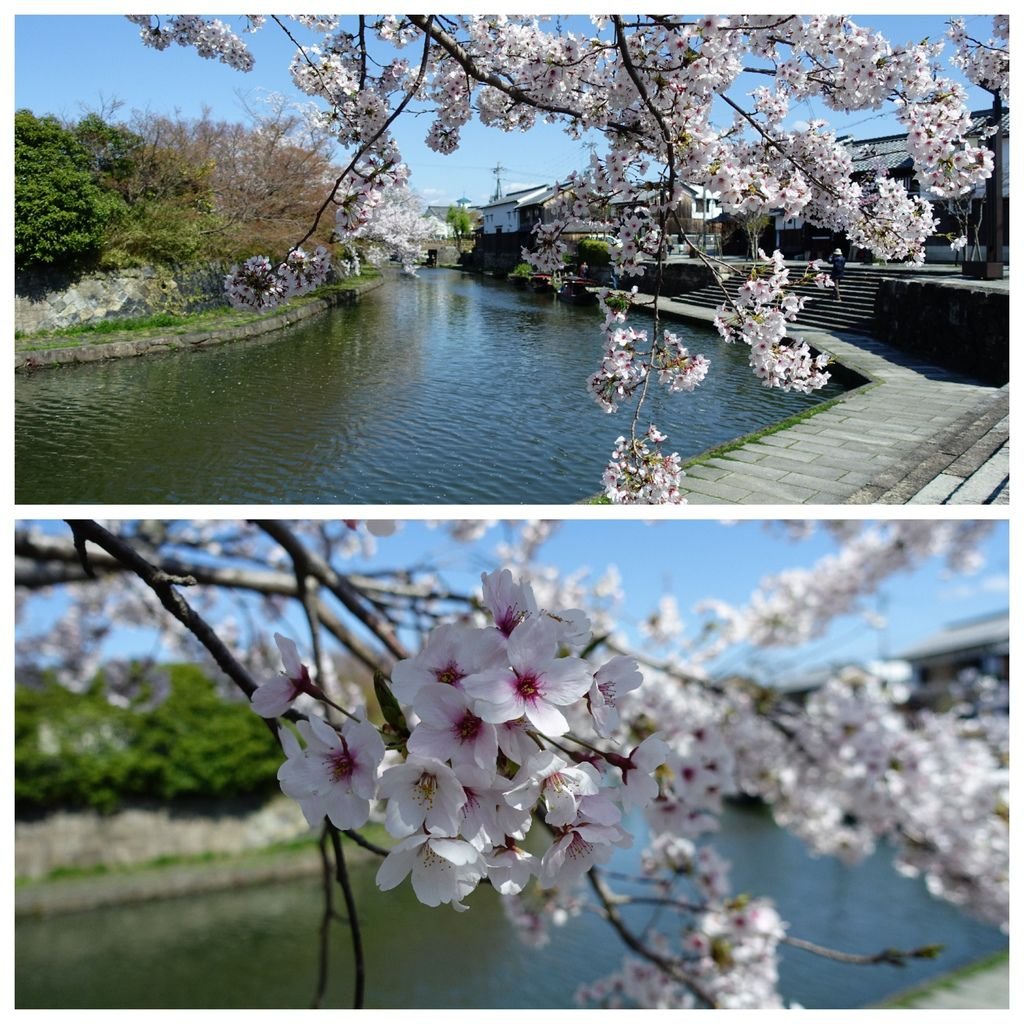 016八番堀.jpg